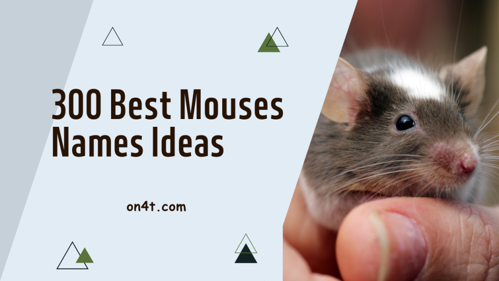 300-best-mice-names-ideas-on4t