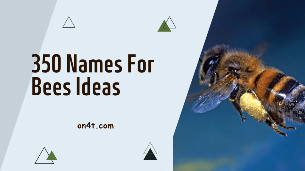 350-names-for-bees-ideas-on4t