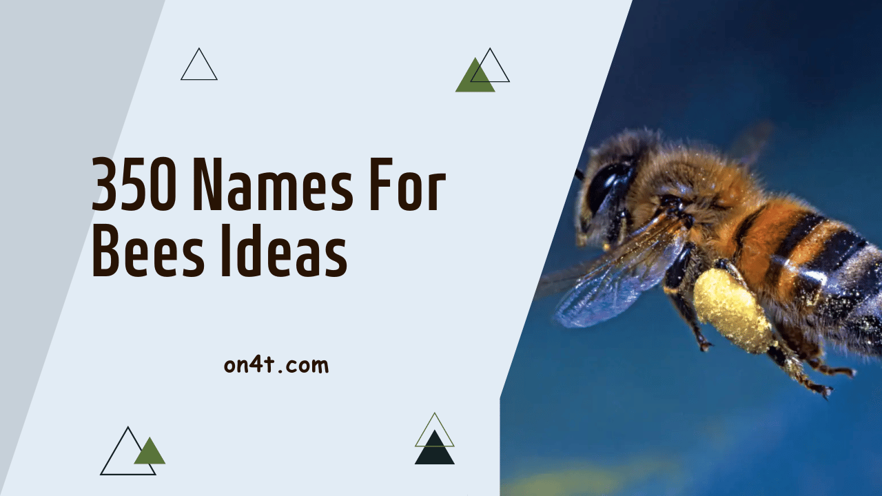 350 Names For Bees Ideas