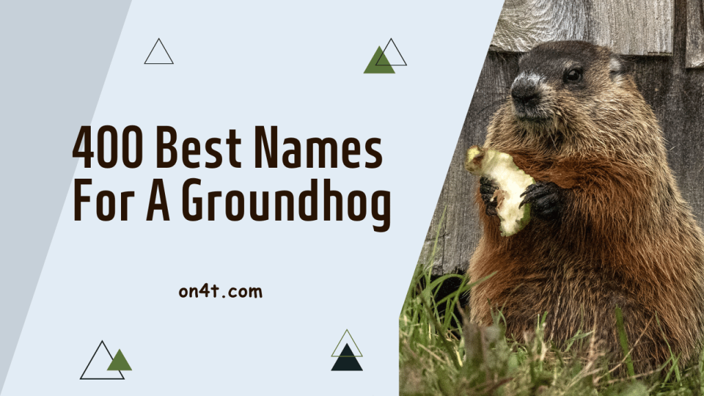 400 Best Names For A Groundhog - On4t