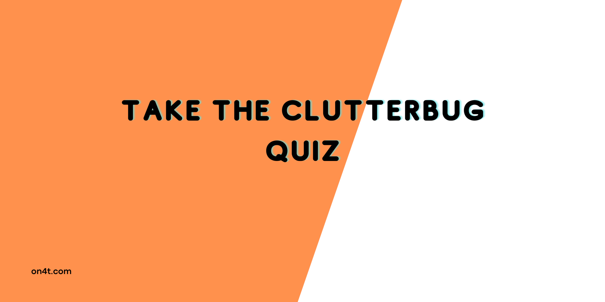The Clutterbug Quiz The Clutterbug Quiz