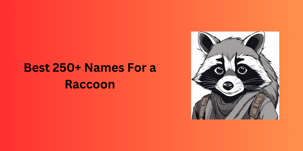 Best 200+ Names For a Raccoon