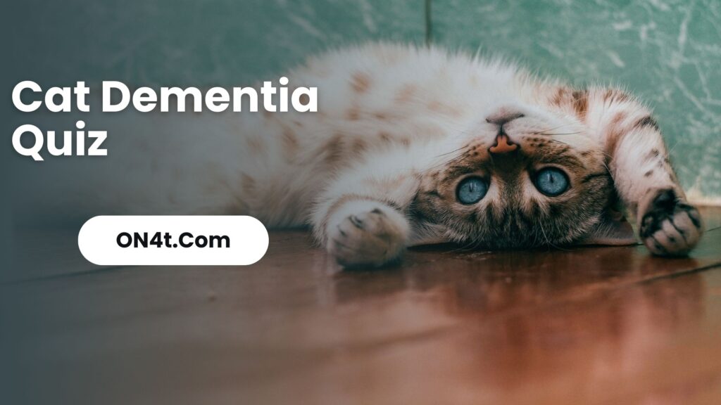 Cat Dementia Quiz Spot Early Signs & Take Action [Updated]