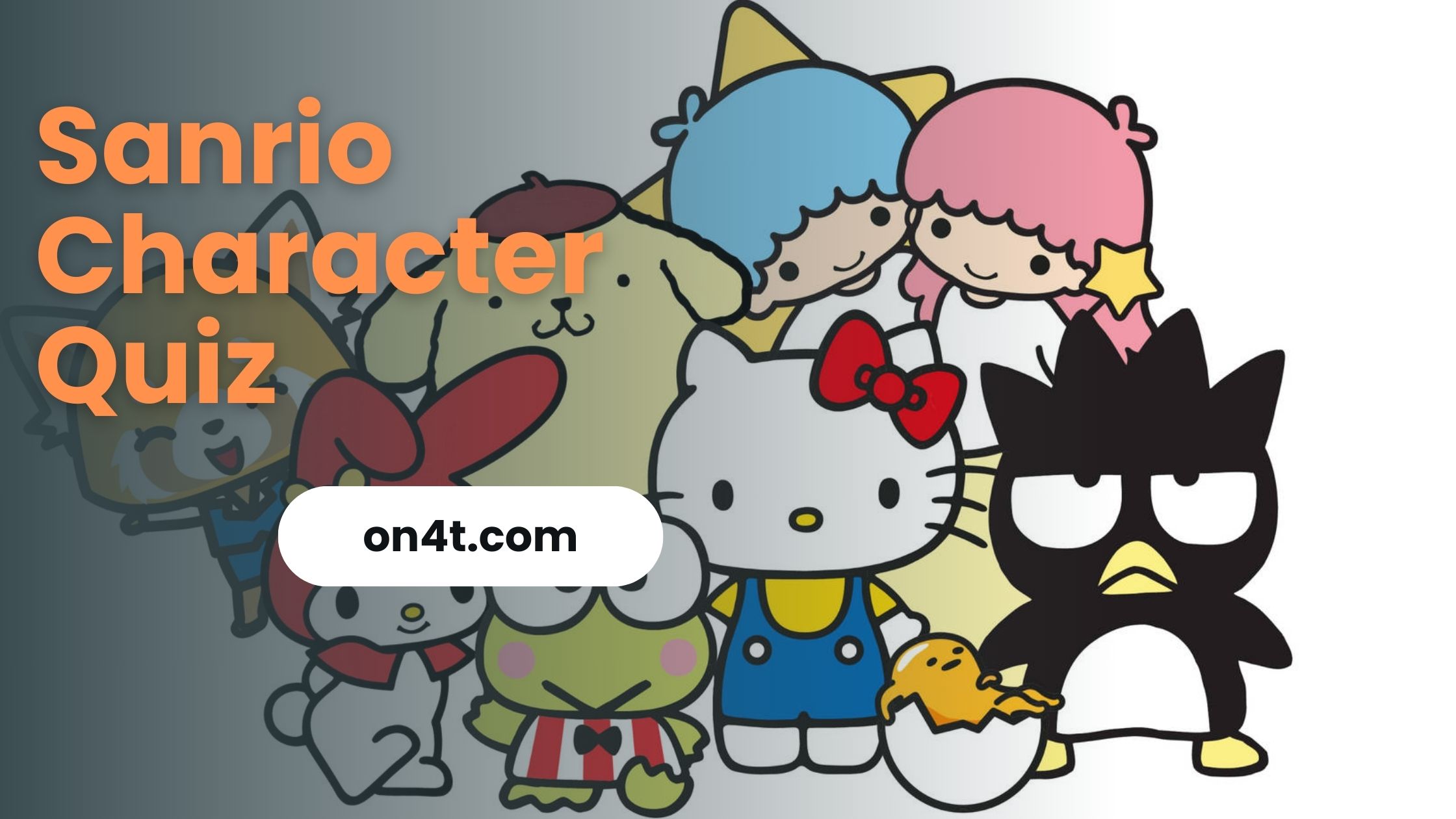 Sanrio Character Quiz
