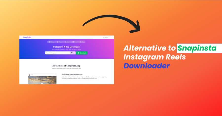 alternative to snapinsta instagram reels downloader