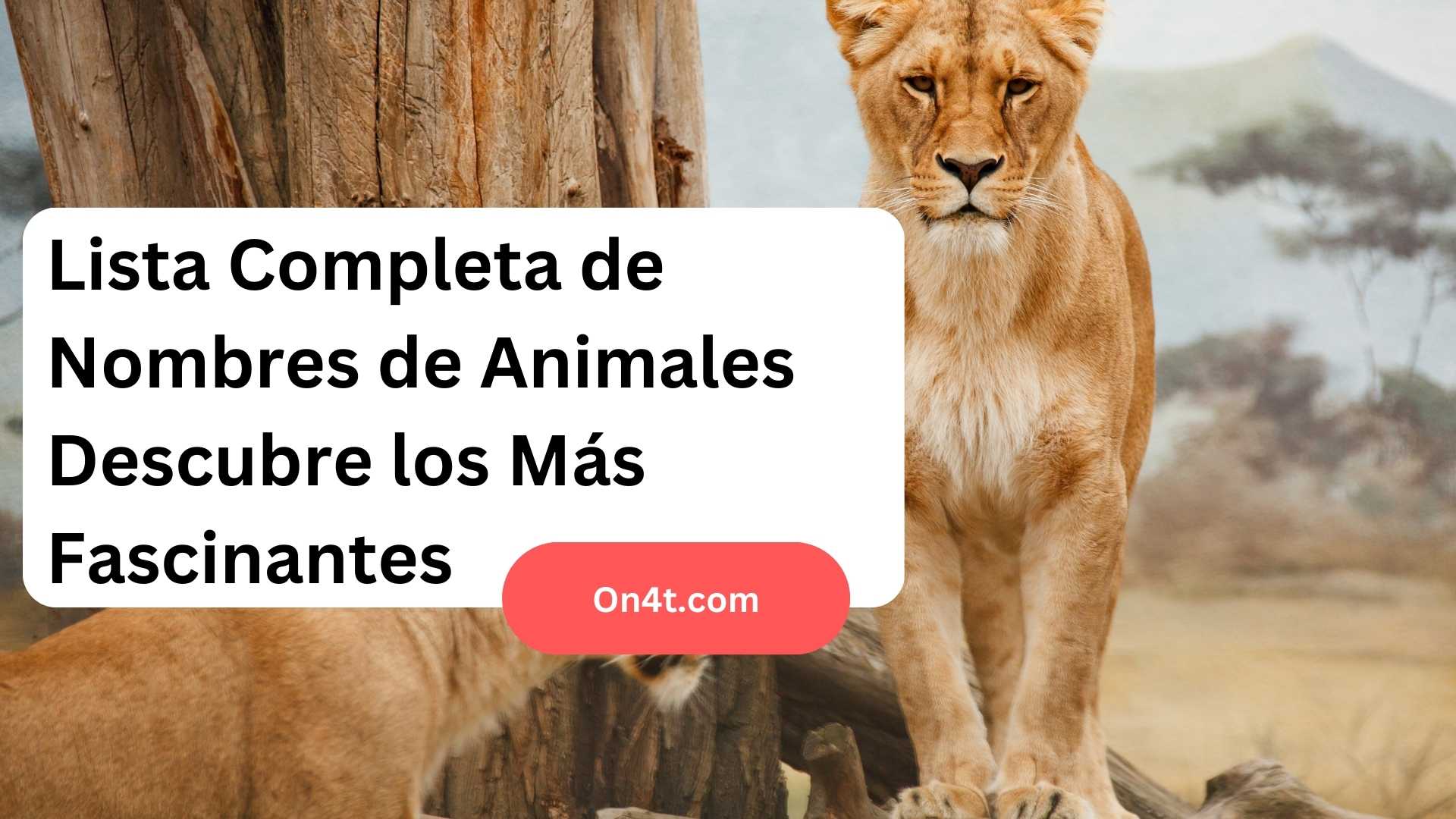 Lista Completa de Nombres de Animales Descubre los Más Fascinantes