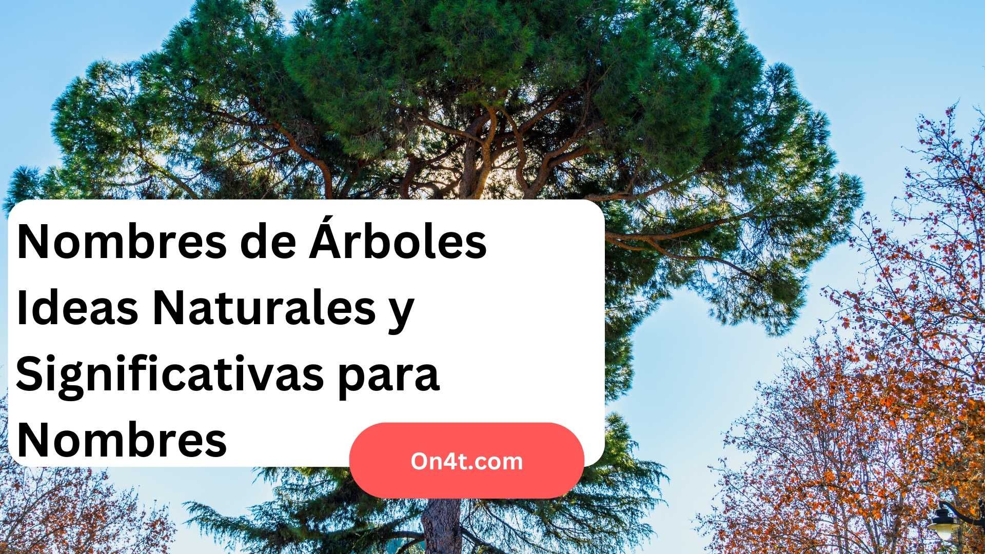 Nombres de Árboles Ideas Naturales y Significativas para Nombres