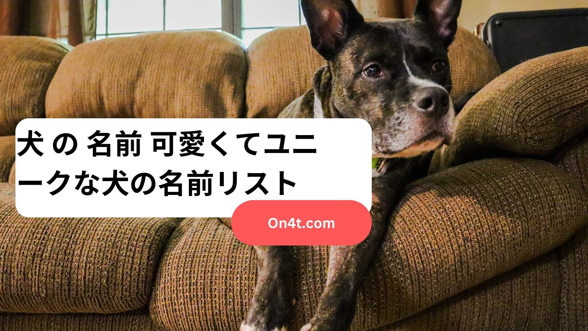 犬 の 名前 可愛くてユニークな犬の名前リスト