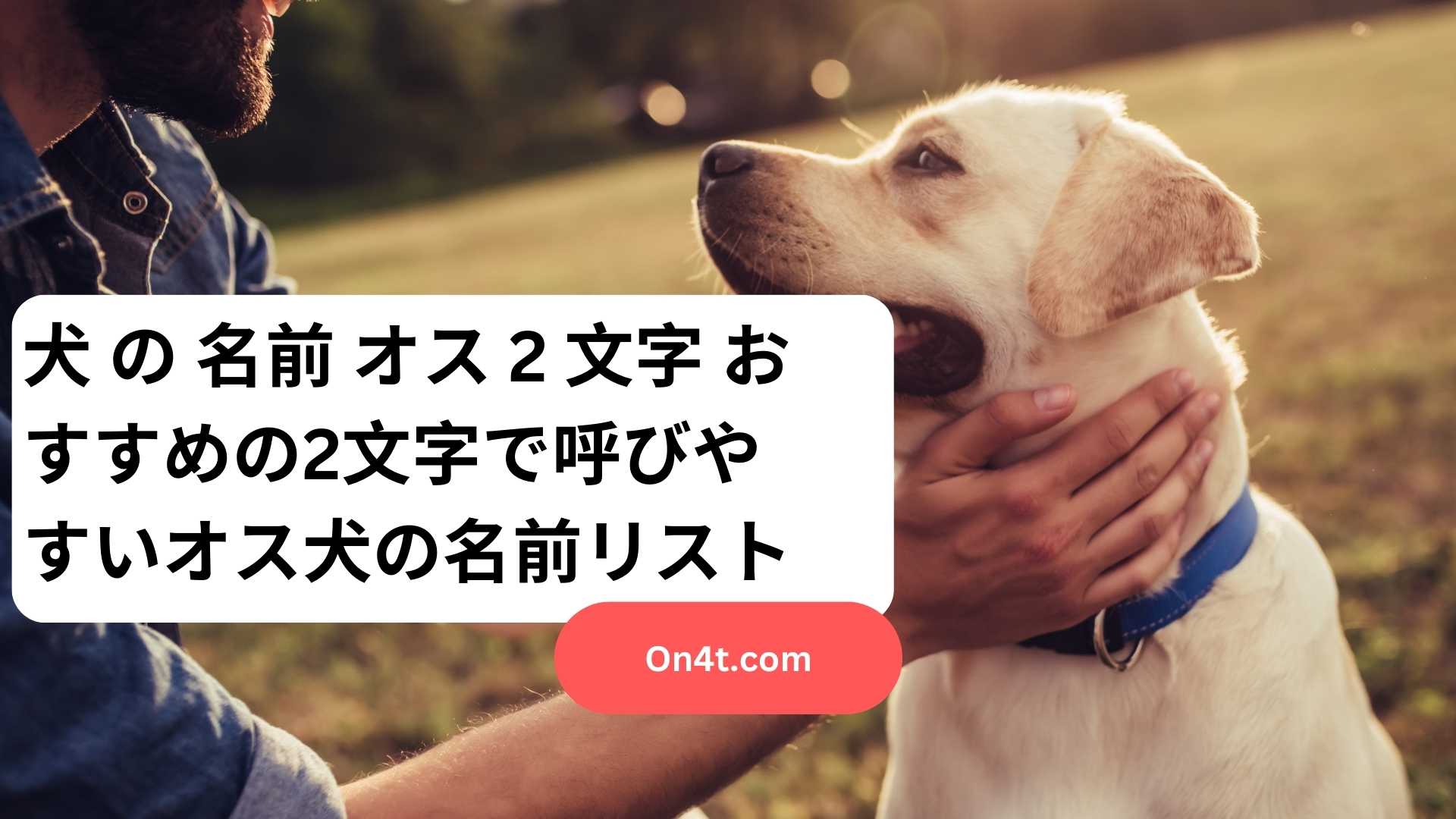 犬 の 名前 オス 2 文字 おすすめの2文字で呼びやすいオス犬の名前リスト