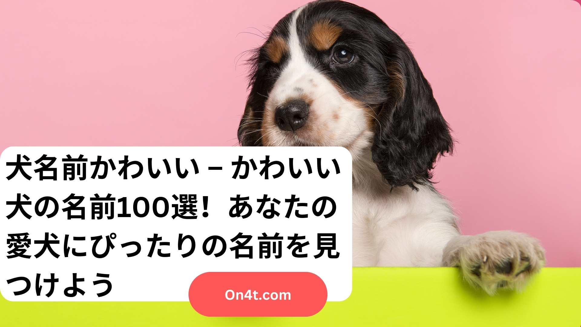 犬名前かわいい – かわいい犬の名前100選！あなたの愛犬にぴったりの名前を見つけよう