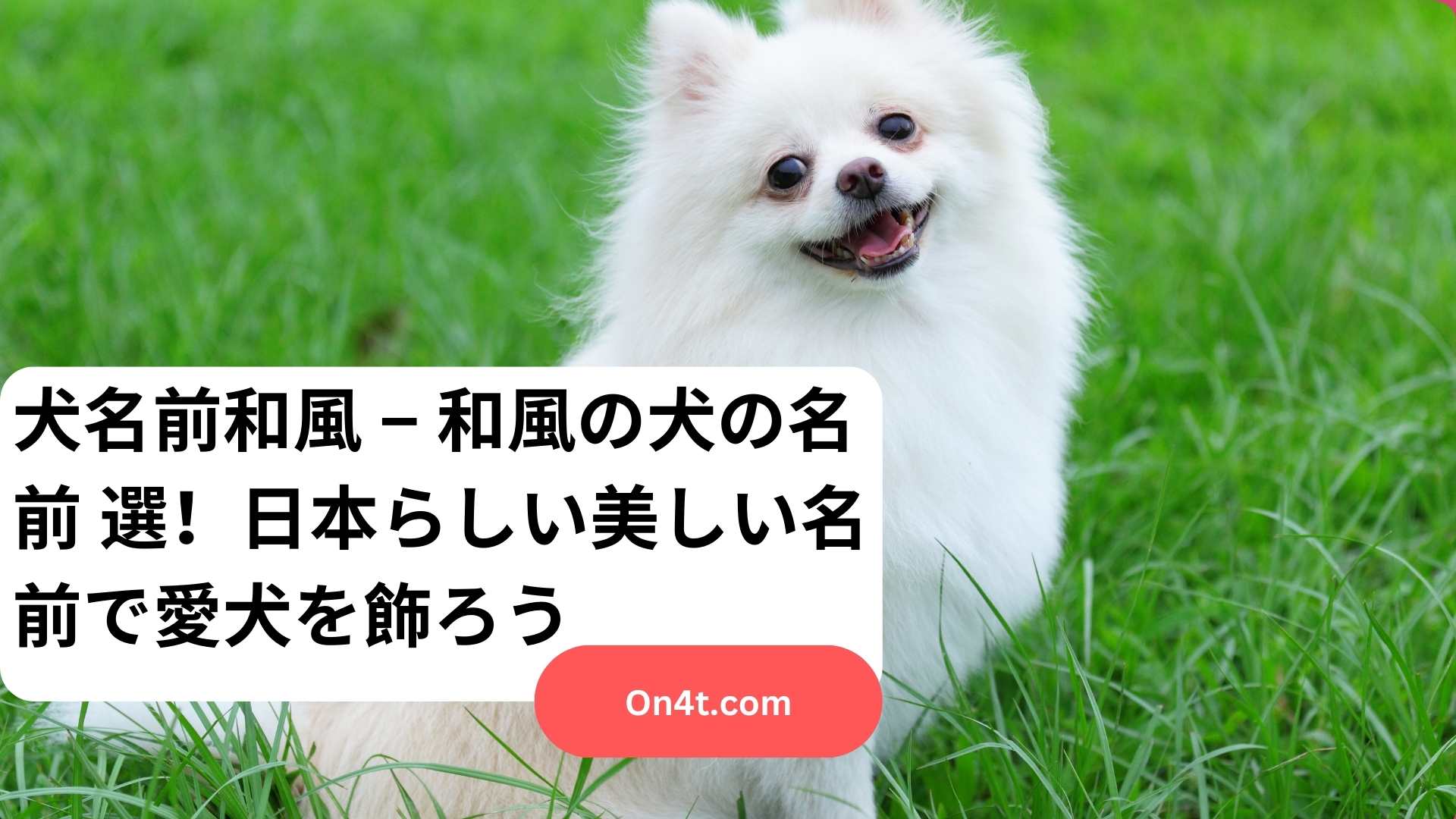 犬名前和風 – 和風の犬の名前50選！日本らしい美しい名前で愛犬を飾ろう