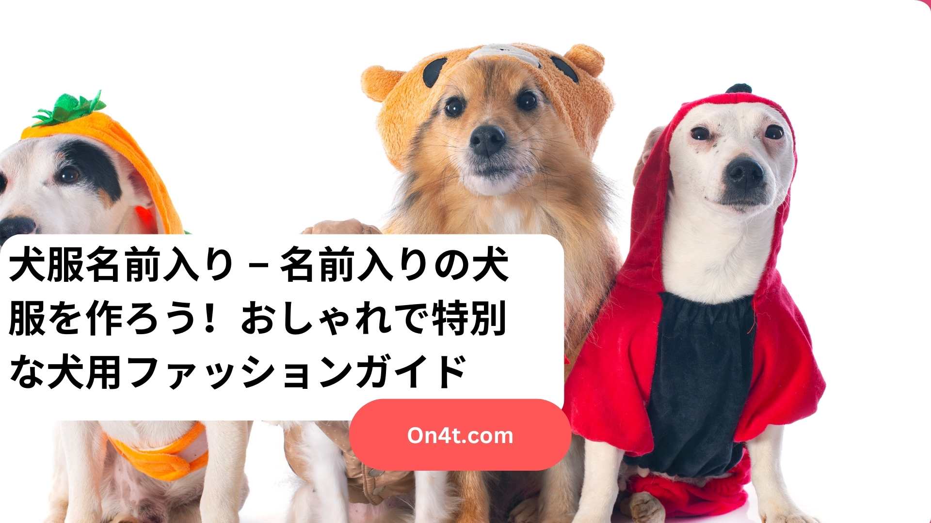 犬服名前入り – 名前入りの犬服を作ろう！おしゃれで特別な犬用ファッションガイド